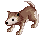 Desert Wolf B